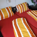 Aranyhidszallo *